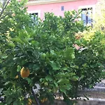 Tenuta I Frangiventi 4*