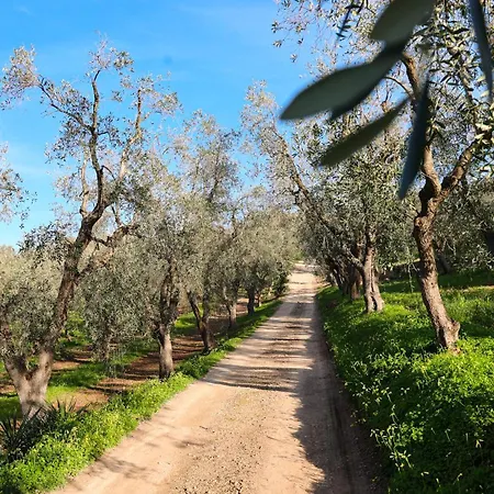 I Frangiventi Bed and Breakfast 4*