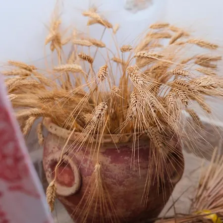 I Frangiventi Bed and Breakfast 4*