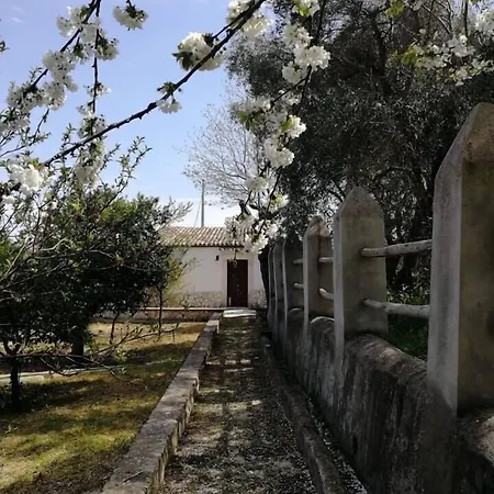 Bed and Breakfast I Frangiventi