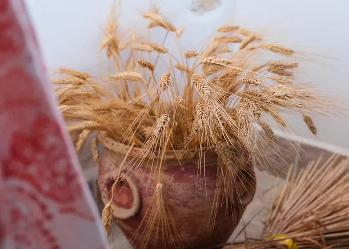 I Frangiventi Alojamento de Acomodação e Pequeno-almoço 4*